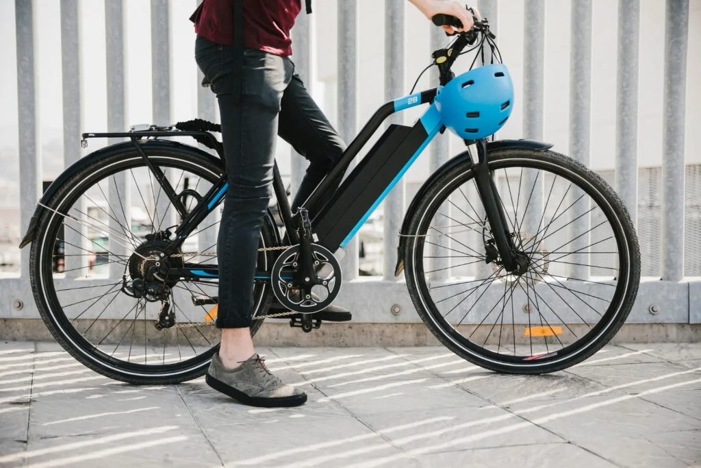 The E Powered Bicycle GoFree Cycles